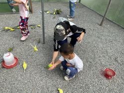 -萌宠亲子动物乐园(槐房万达店)