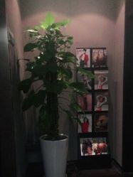 -史云逊养发护发