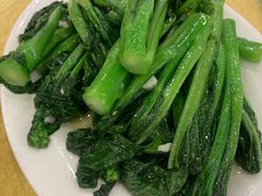 -鸿达渔港