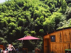 -将军关探险漂流