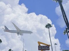 -In-N-Out Burger(LAX)