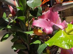 -欣旺·迎宾楼·百年无锡菜