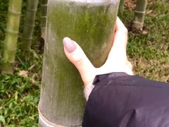 -苏州环秀晓筑养生度假村