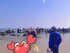 -巧克力渔家.小船海鲜胶东菜(万平口店)