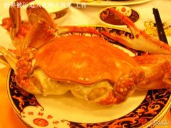 大飞蟹-万宝海鲜舫(劳动公园店)
