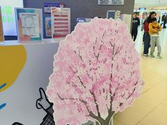 -阳光天地