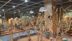 点击看大图 -七巧国萌宠乐园(龙湖天街店)