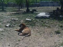 -西安秦岭野生动物园