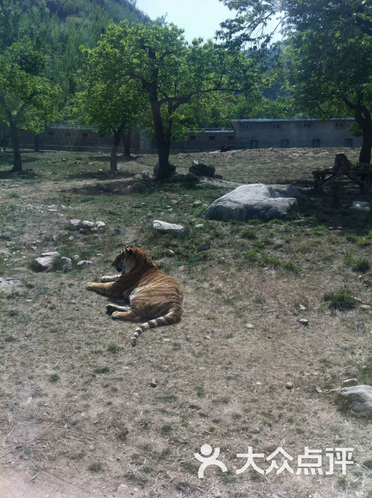 西安秦嶺野生動物園圖片 - 第2450張