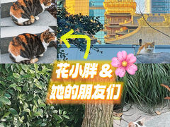 -静安公园(静安寺街道)
