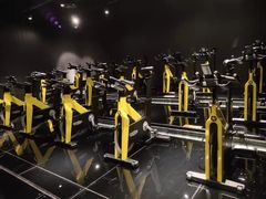-威尔仕健身(丁香国际店)