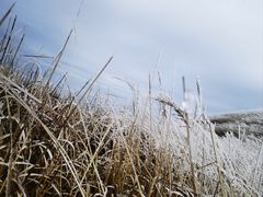 -萍乡武功山风景名胜区