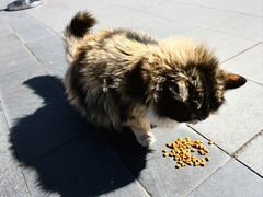-北京鲁迅博物馆(北京新文化运动纪念馆鲁博馆区)