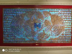 -上海昆虫博物馆