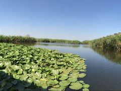 -五甲塘生态湿地公园