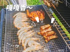 -田园东方蜜桃村的田野营地