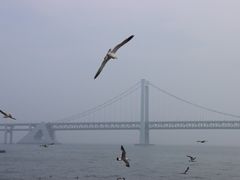 -星海广场