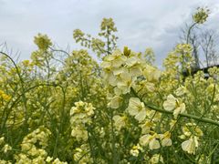 -洪湖家庭农场·团建·露营·会议
