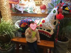 -大理董·董家小厨野生菌火锅(古城旗舰店)