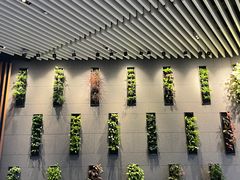 -鼎泰丰(新港中心店)