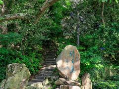 -江心屿景区