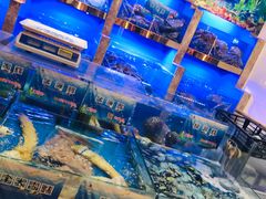 海鲜池-海鲨湾海鲜会馆(百家湖1912店)