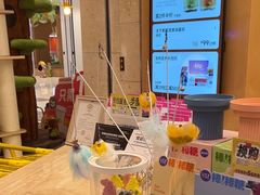 -帕帕拉兹宠物(亚洲旗舰店)