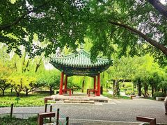 -月坛公园