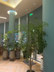 -娇玫荟SPA