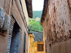 -杨家堂村