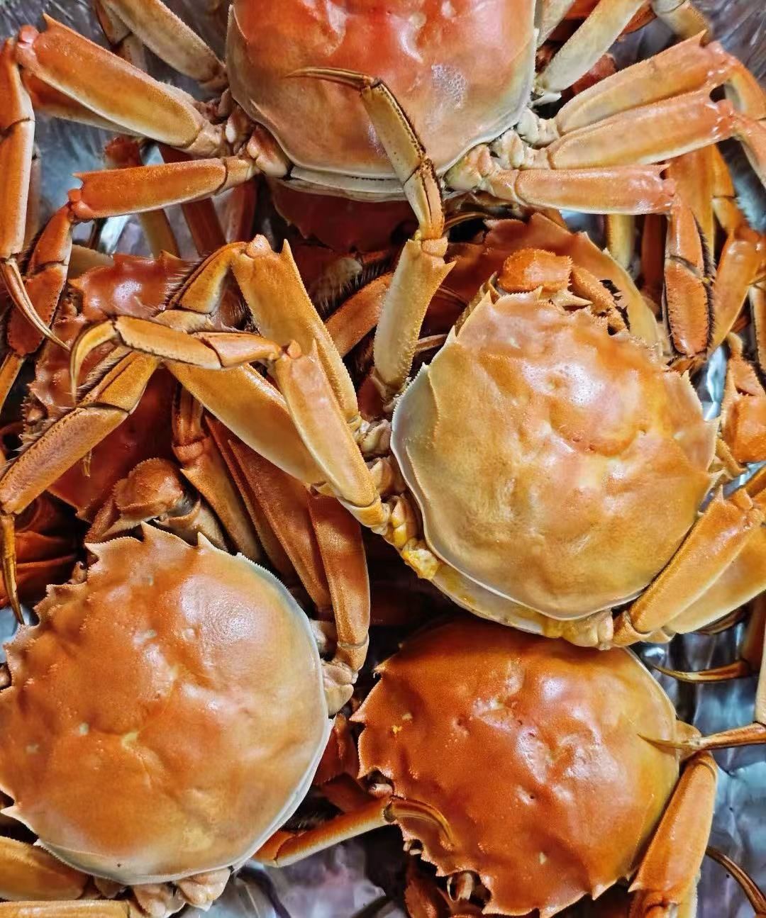 0元玩转这座城 七上八下,正是吃河螃蟹的季节