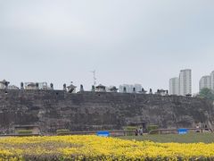 -石炮台公园