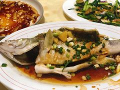-电白鸭粥店(下沙二坊88号店)