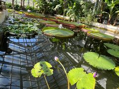 -国家植物园南园