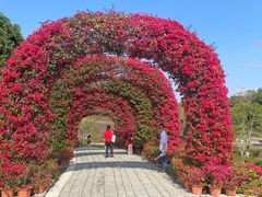 -东莞植物园