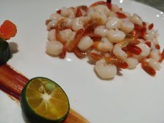 -蝶园·装修中(BFC外滩金融中心店)