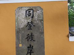 -普陀山风景区-佛顶山