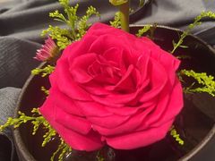 -喜湘宴·精致湖南菜(和平西桥店)