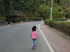 -火炉山森林公园