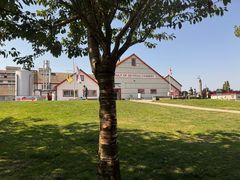 -Steveston Pizza Company (Richmond)