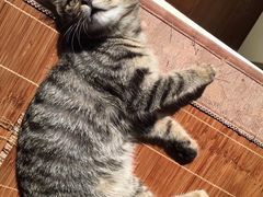 -小杨生煎(金山百联购物中心3楼店)