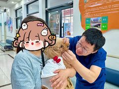 -派美特宠物医院·核磁CT·骨科肿瘤·疑难转诊(沈农禾丰店)