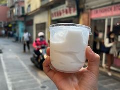 -洪馨椰子