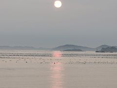 -西天尾扁食卤肉(湄洲农贸市场店)