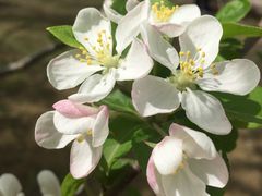 -郑州中国绿化博览园