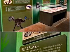 -珠海市博物馆