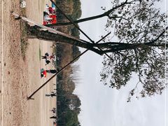 -上海吴淞炮台湾国家湿地公园