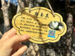 -北京鲁迅博物馆(北京新文化运动纪念馆鲁博馆区)