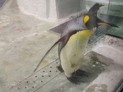 -大连圣亚海洋世界