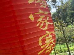 -杨家寨